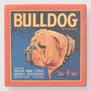 Bull Dog på en blå bakgrund Underlägg Sten
