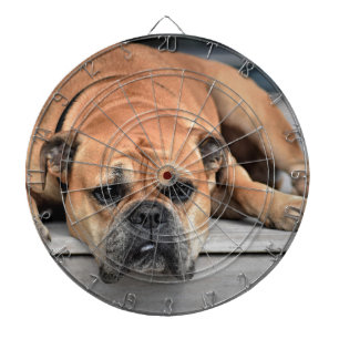 Bull Dog Piltavla