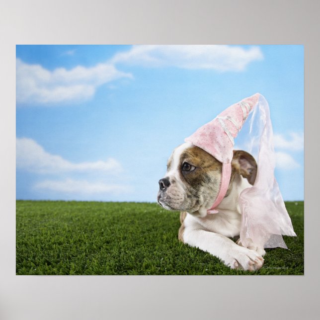 Bull Dog puppy princess Poster (Framsidan)
