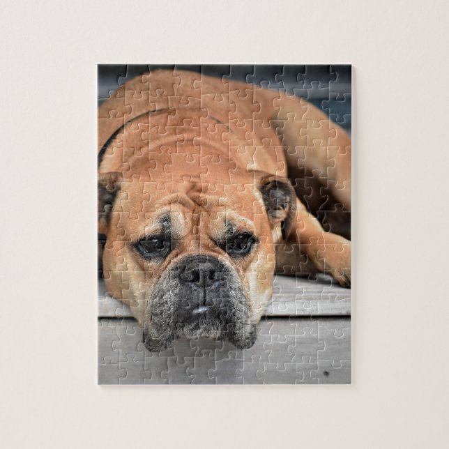Bull Dog Pussel (Vertikal)