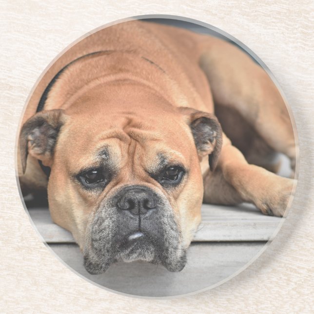 Bull Dog Underlägg Sandsten (Framsidan)