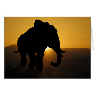 Bull Eephant Hälsningskort