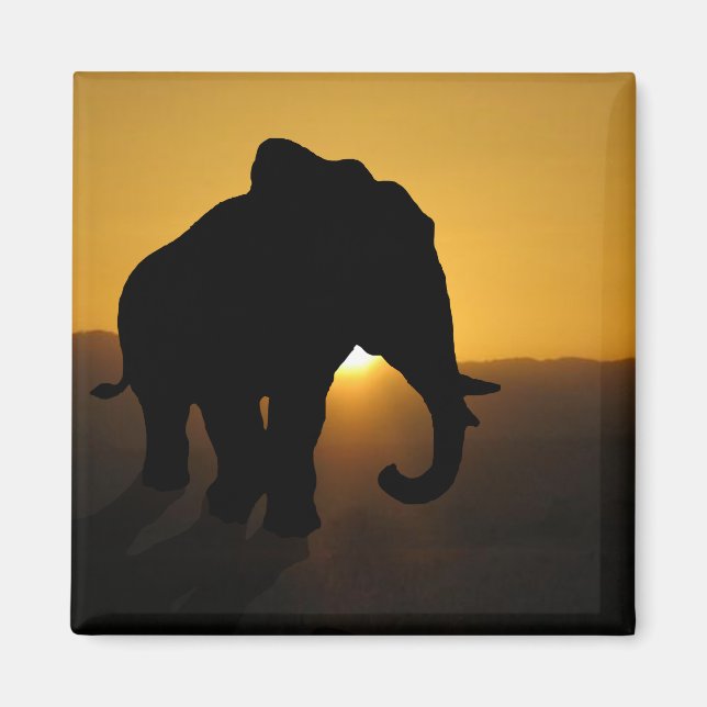 Bull Eephant Magnet (Framsidan)