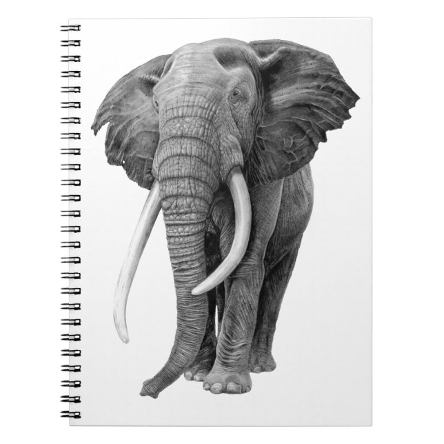 Bull elefant - Teckning i blyertspennan Anteckningsbok (Framsidan)
