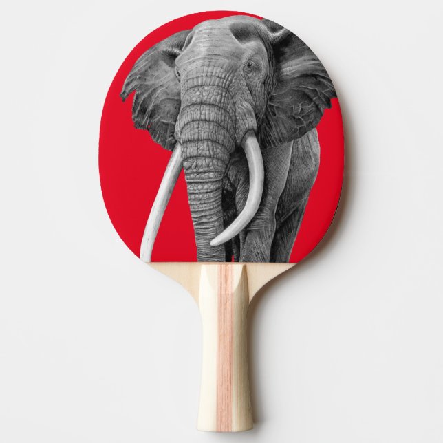 Bull elefant - Teckning i blyertspennan Pingisracket (Framsidan)