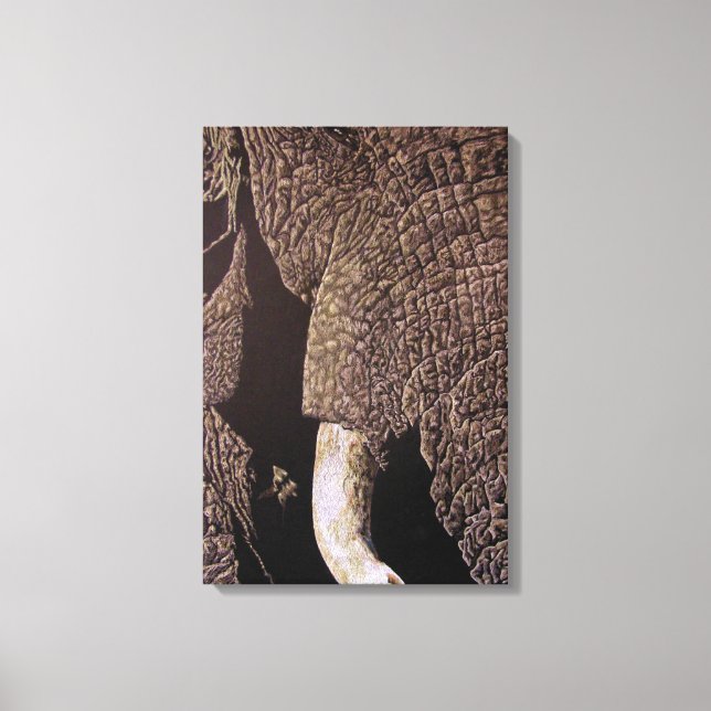 Bull Elephant Canvastryck (Framsida)