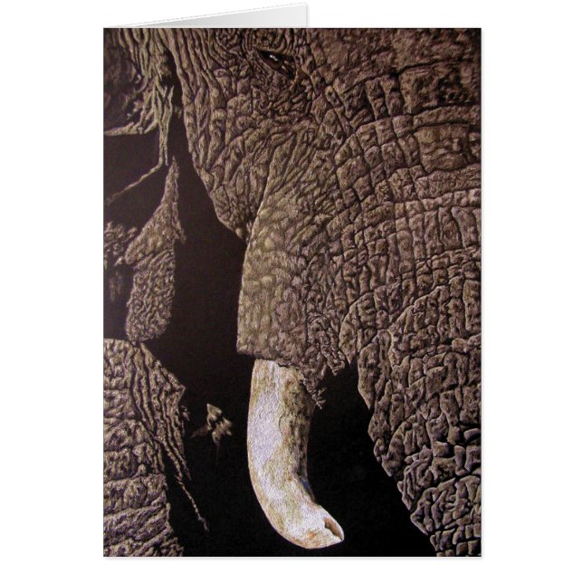 Bull Elephant Hälsningskort (Framsidan)