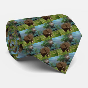 Bull Elephant, Neck Tie Slips