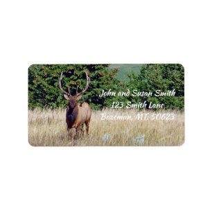 Bull Elk-adressetikett Adressetikett