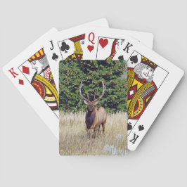 Bull Elk Bicycle Spelkort
