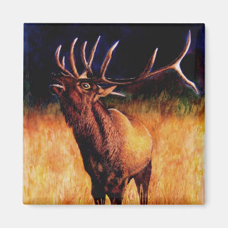 Bull Elk Call of the Vild, Magnet