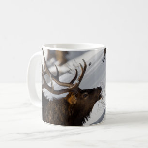Bull Elk Grazing on Snowy Slope, Yellowstone Kaffemugg