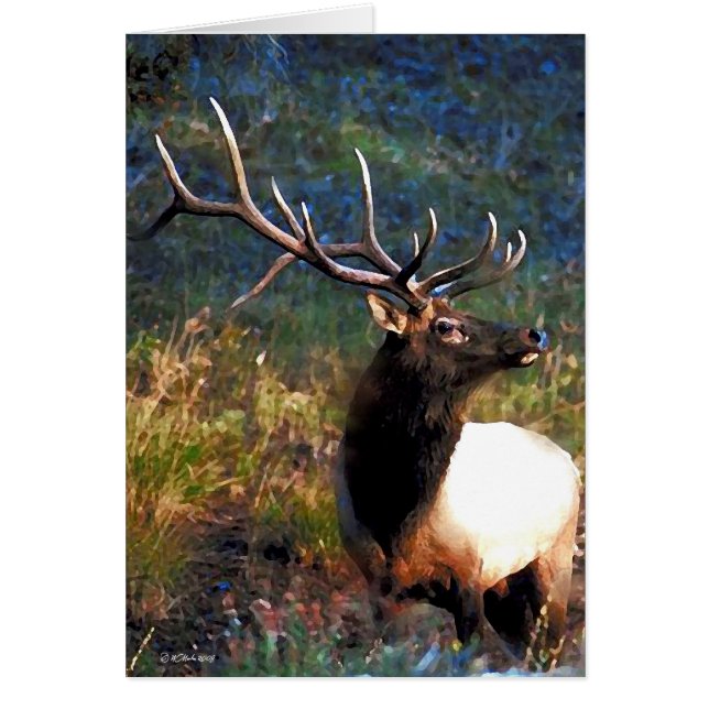 Bull Elk Hälsningskort (Framsidan)