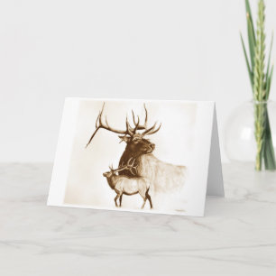 Bull Elk-hälsningskort Kort