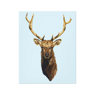 Bull Elk Head Animal nature willife art Canvastryck