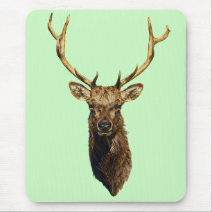 Bull Elk Head Animal nature willife art Musmatta