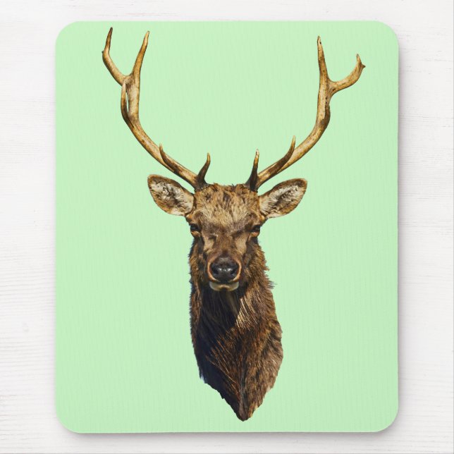 Bull Elk Head Animal nature willife art Musmatta (Framsidan)