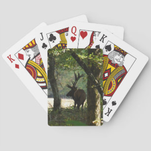 Bull Elk i kant Camouflage Casinokort