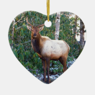 Bull Elk i Rhododendrons Julgransprydnad Keramik