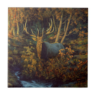 Bull Elk in Autumn Forest Kakelplatta
