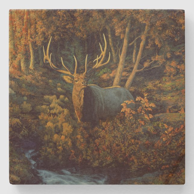 Bull Elk in Autumn Forest Stenunderlägg (Framsidan)
