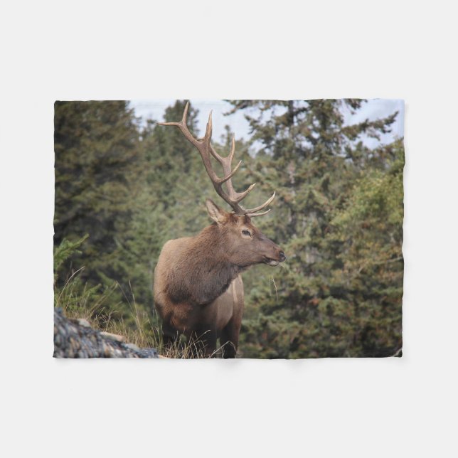 Bull Elk in Jasper Fleecefilt (Framsidan (Horisontell))