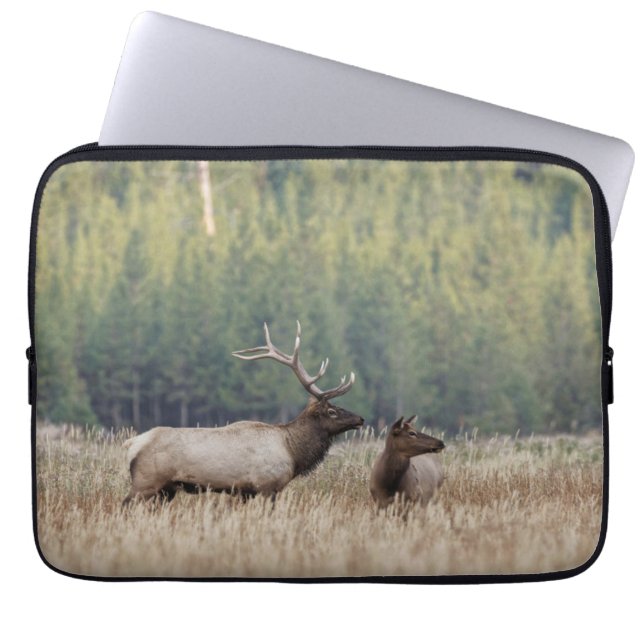 Bull Elk in Meadow | Yellowstone nationalpark Laptop Fodral (Framsidan)