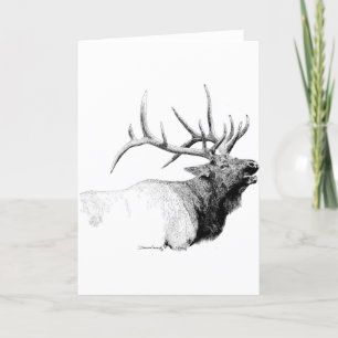 Bull Elk Kort