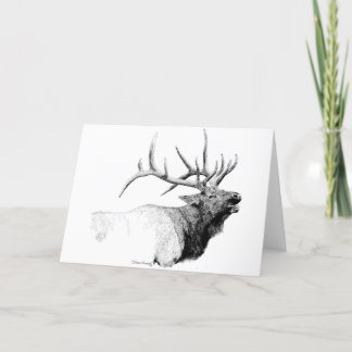 Bull Elk Kort