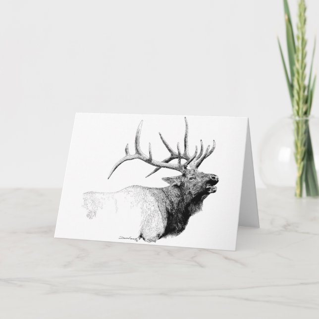 Bull Elk Kort (Framsida)