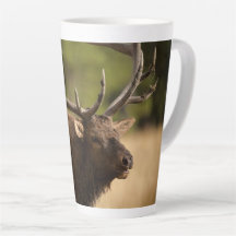 Bull Elk Latte Mugg