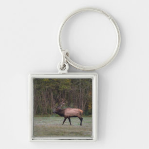 Bull Elk MorgWalk Fyrkantig Silverfärgad Nyckelring