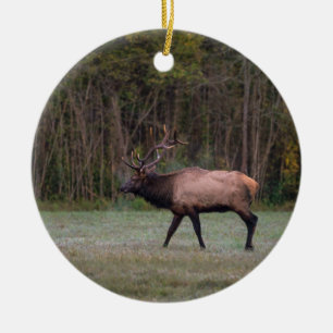 Bull Elk MorgWalk Julgransprydnad Keramik