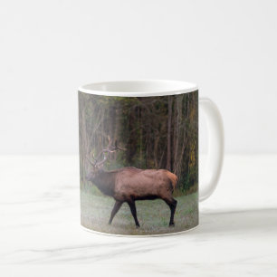 Bull Elk MorgWalk Kaffemugg