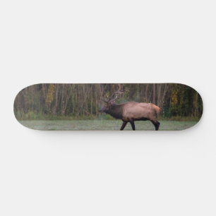 Bull Elk MorgWalk Mini Skateboard Bräda 18,5 Cm