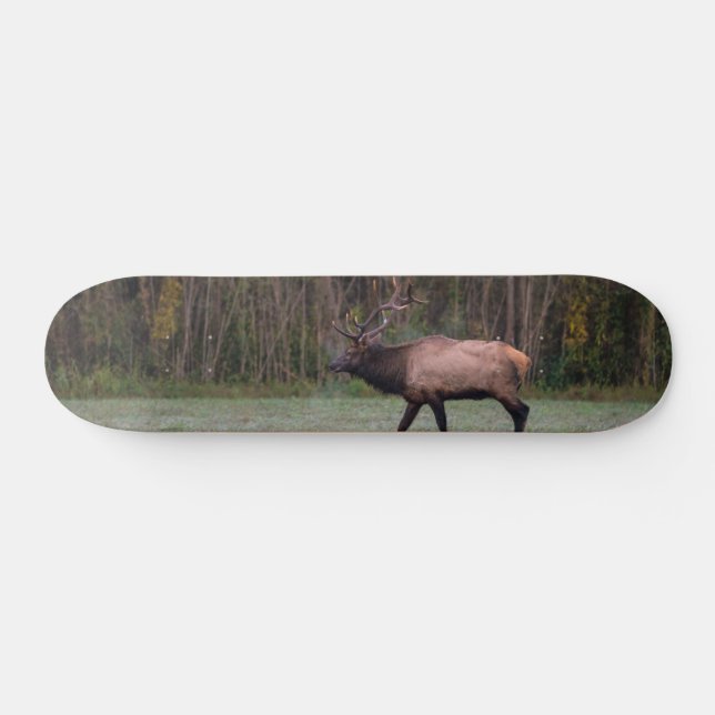 Bull Elk MorgWalk Mini Skateboard Bräda 18,5 Cm (Horz)