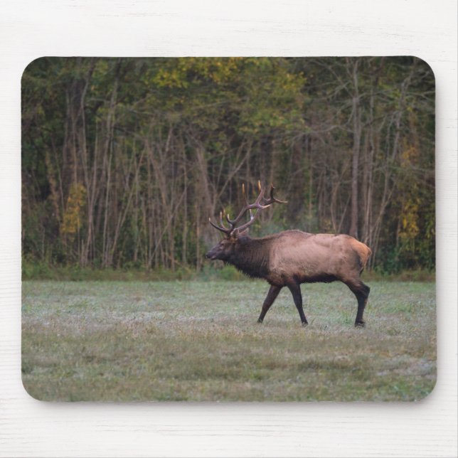 Bull Elk MorgWalk Musmatta (Framsidan)