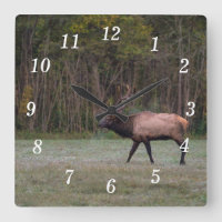 Bull Elk morse Walk Wall Clock