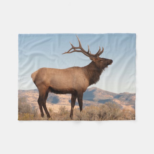 Bull Elk Near Mammoth | Wyoming Fleecefilt (Framsidan (Horisontell))
