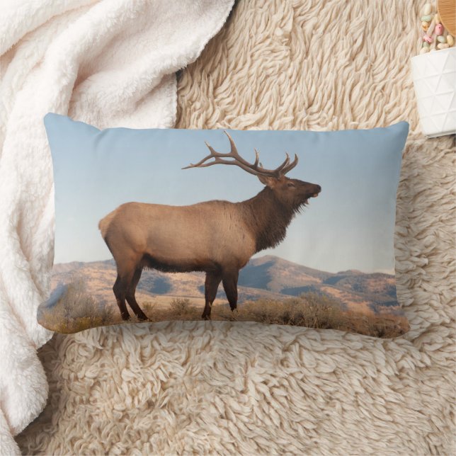 Bull Elk Near Mammoth | Wyoming Lumbarkudde (Filt)