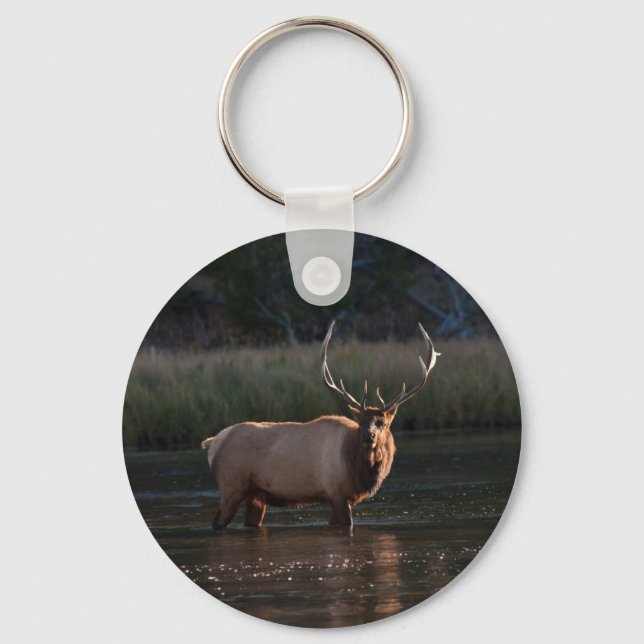 Bull Elk Nyckelring (Framsida)