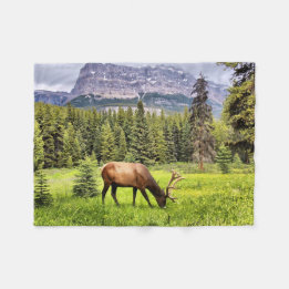 Bull Elk och Castle Mountain i Banff Fleecefilt