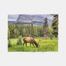 Bull Elk och Castle Mountain i Banff Fleecefilt