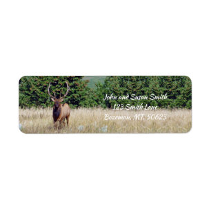 Bull Elk Return-adressetikett Returadress Etikett