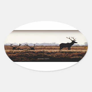Bull Elk Silhouette Ovalt Klistermärke