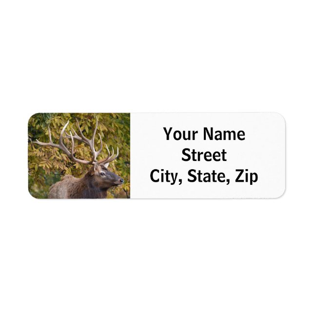 Bull Elk under adressetiketten Rut Return Returadress Etikett (Framsidan)
