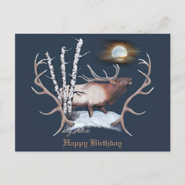 Bull Elk Vykort (Framsida)