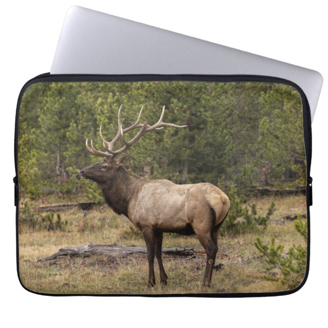 Bull Elk Yellowstone National Park, Wyoming Laptop Fodral (Framsidan)