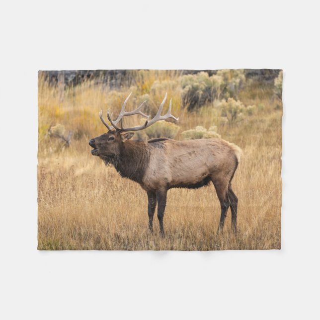 Bull Elk | Yellowstone nationalpark Fleecefilt (Framsidan (Horisontell))