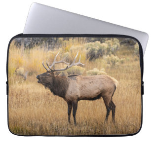 Bull Elk Yellowstone nationalpark Laptop Fodral